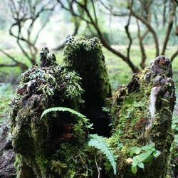 2010-10 China/Taiwan/2010:10:08-15:22:58_DSC04129.JPG